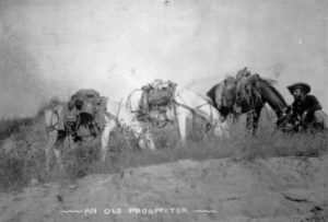 An_old_prospector