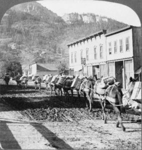 Ouray-pack-train